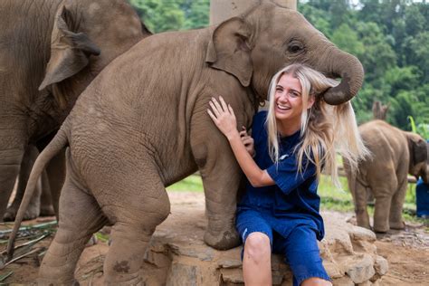 volunteer overseas animals